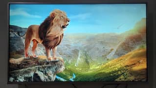 Changhong Ruba 4k 55 inch Led i smart