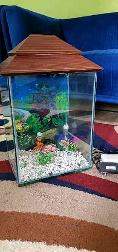 good condition aquarium for sale