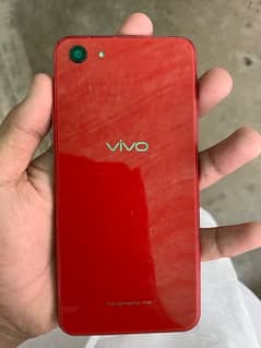 vivo