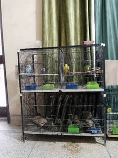 Cage / Birds cage / Hens Cage / Pinjra / Iron Cage / پرندوں کا پنجرا