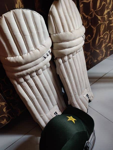 Cricket kit 6