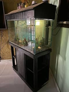 Fish Aquarium size 3 ft x 3 ft