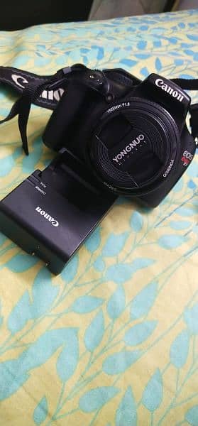 Canon Rebel T3 with 50mm lens 2