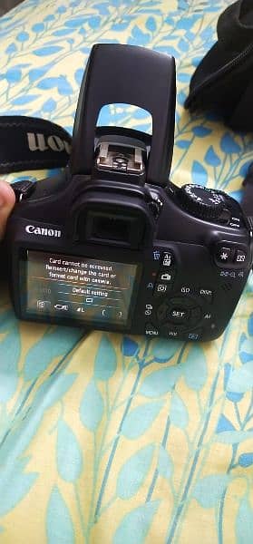 Canon Rebel T3 with 50mm lens 7