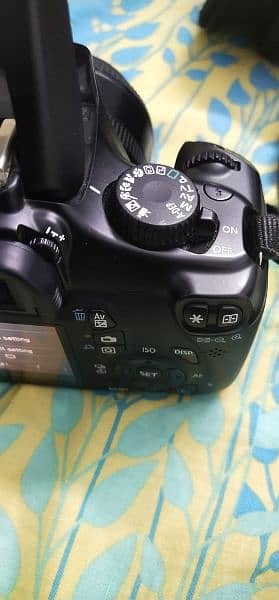 Canon Rebel T3 with 50mm lens 10