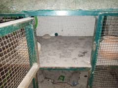 Hen & Birds Cage For Sale !