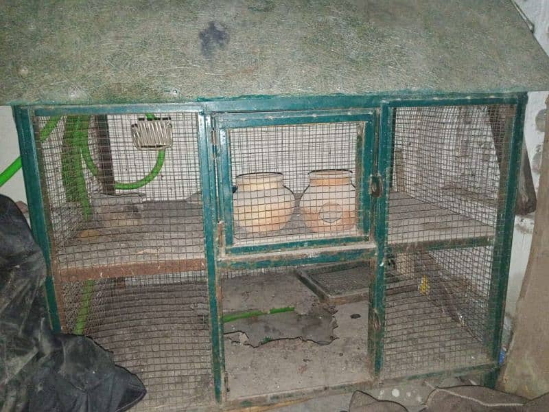 Hen & Birds Cage For Sale ! 1