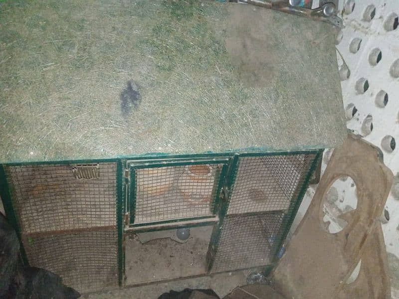 Hen & Birds Cage For Sale ! 2