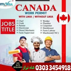 Company Visa, vacancies Available, Staff Required, Jobs In Canada