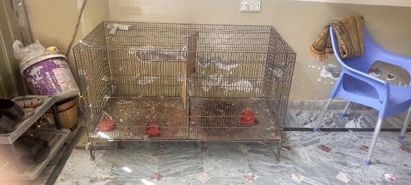 5 parrot 2 cage 3