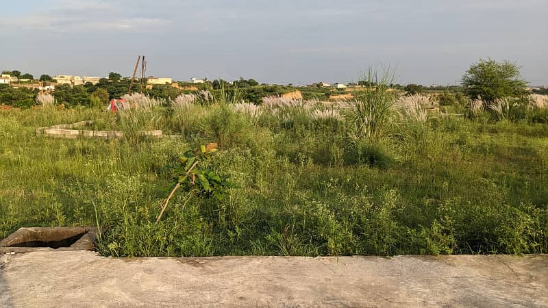 Residential Plot for Sale zamar Valley 0