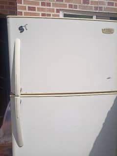 Fridge kelvinator platinum non Frost King size 32 fit