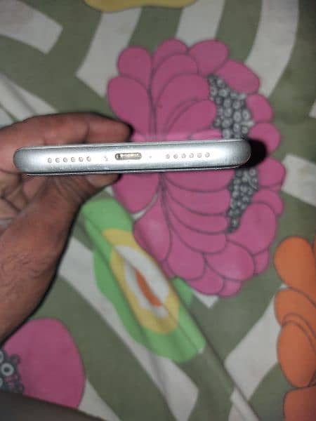 IPhone 11 PTA Approved 3