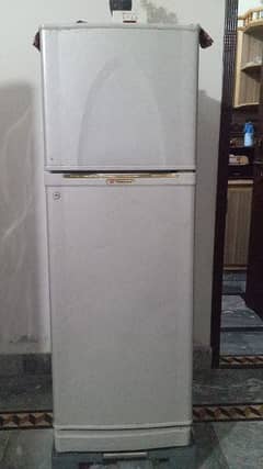 Dawalance Refrigerator Medium