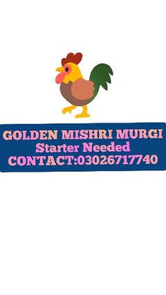 Golden mishri Starter urgent Needed