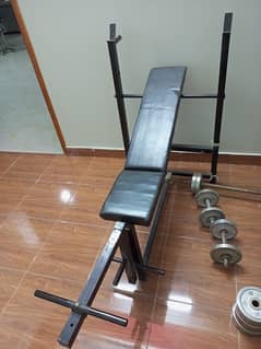 Gym Bench