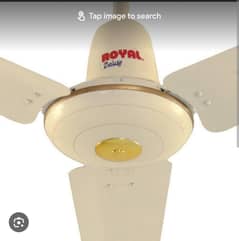 Royal Ceiling Fan 56"