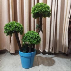 Artificial Plant