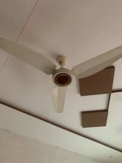 copper ceiling fan for sale