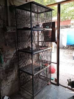 birds cage 4 portion imported mazboot