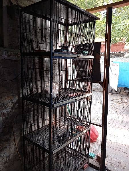 birds cage 4 portion imported mazboot 1