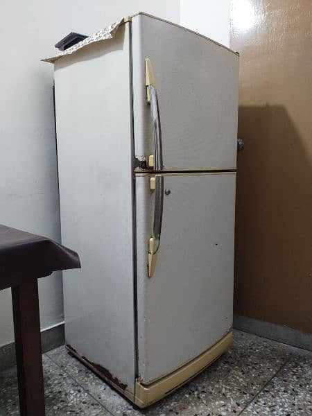 PEL Fridge (Medium Size) 1