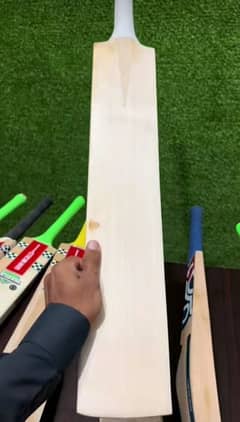 Cricket Hardball bat 0