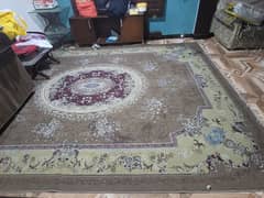 A big carpet in affordable rates