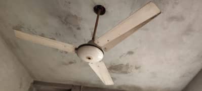 Fan for sale