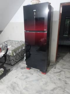 Haier 438 Glass Door