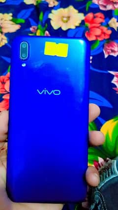 vivo