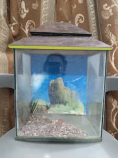 Aquarium accessories online shopping best sale