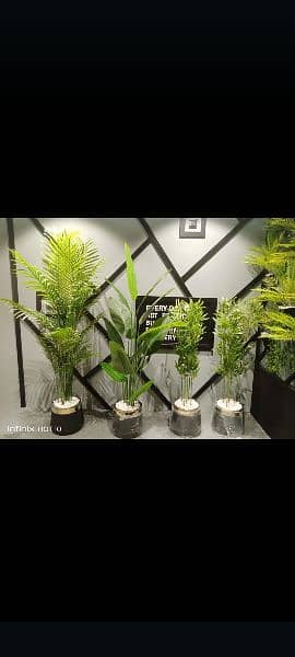 artificial plants 0