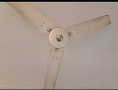 چھت والا پنکھاceiling Fan 0