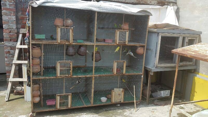 parrot cage 2