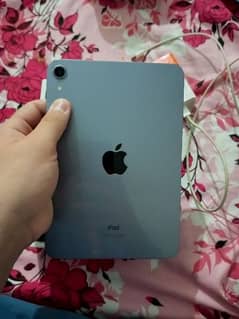 ipad mini 6