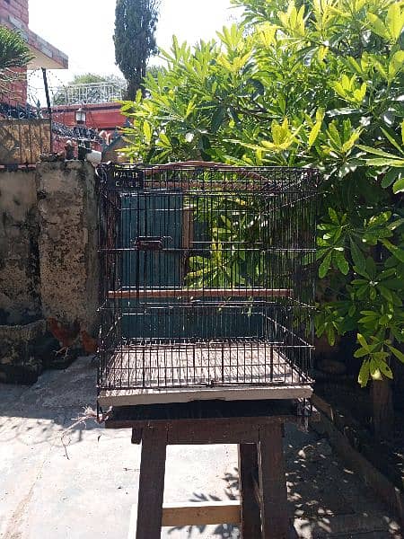 Birds parrot pinjra cage with pot 1