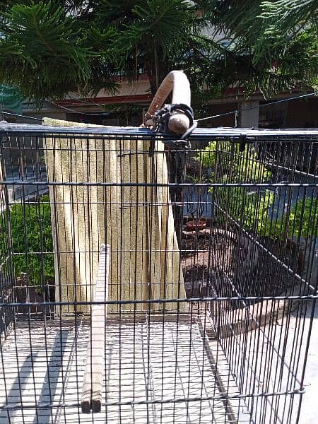 Birds parrot pinjra cage with pot 3