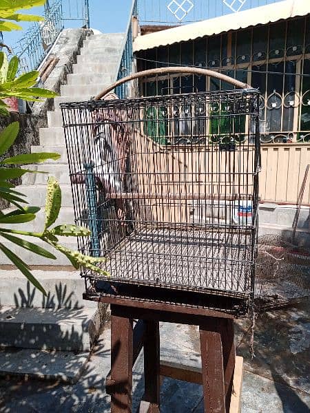 Birds parrot pinjra cage with pot 5