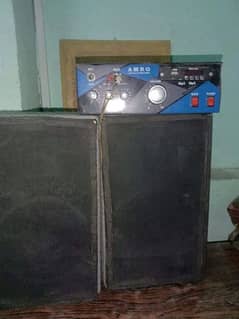 2 speakers with Bluetooth amplifier