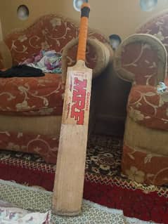 hard ball bat