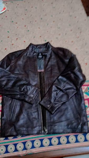 Leather Coat 3