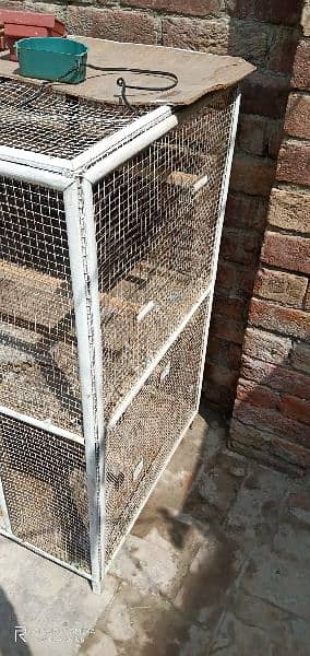 cage for Cats, Hens and Puppies. 3