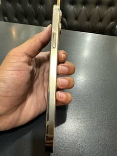 Iphone 12 pro max pta approved