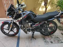 Yamaha YBR 2021 Model (New Condition)