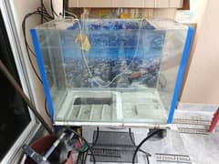 fish used aquiram for sale