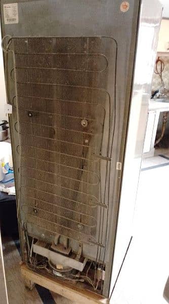 Dawlance Refrigerator 9175 in neat condition #fridge #refrigerater 5