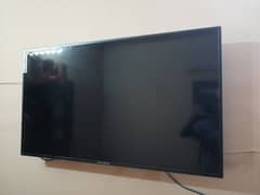 EcoStar | Television 50 inches