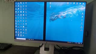 HP e243 Elite Display Monitor (having black line)