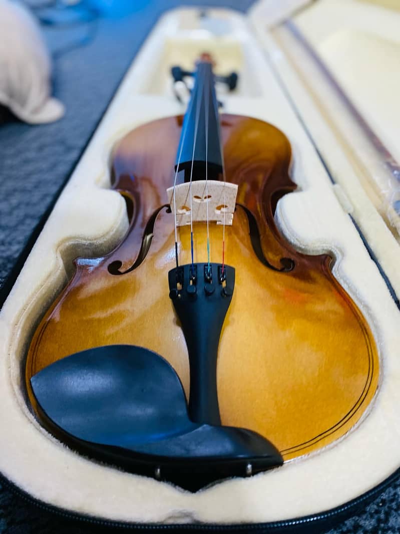 Violin 4/4 Wood Violin Beautiful Appearance Acoustixc Violin 4